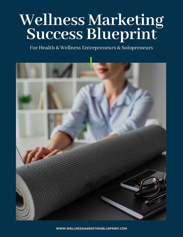 Wellness Marketing Success Blueprint